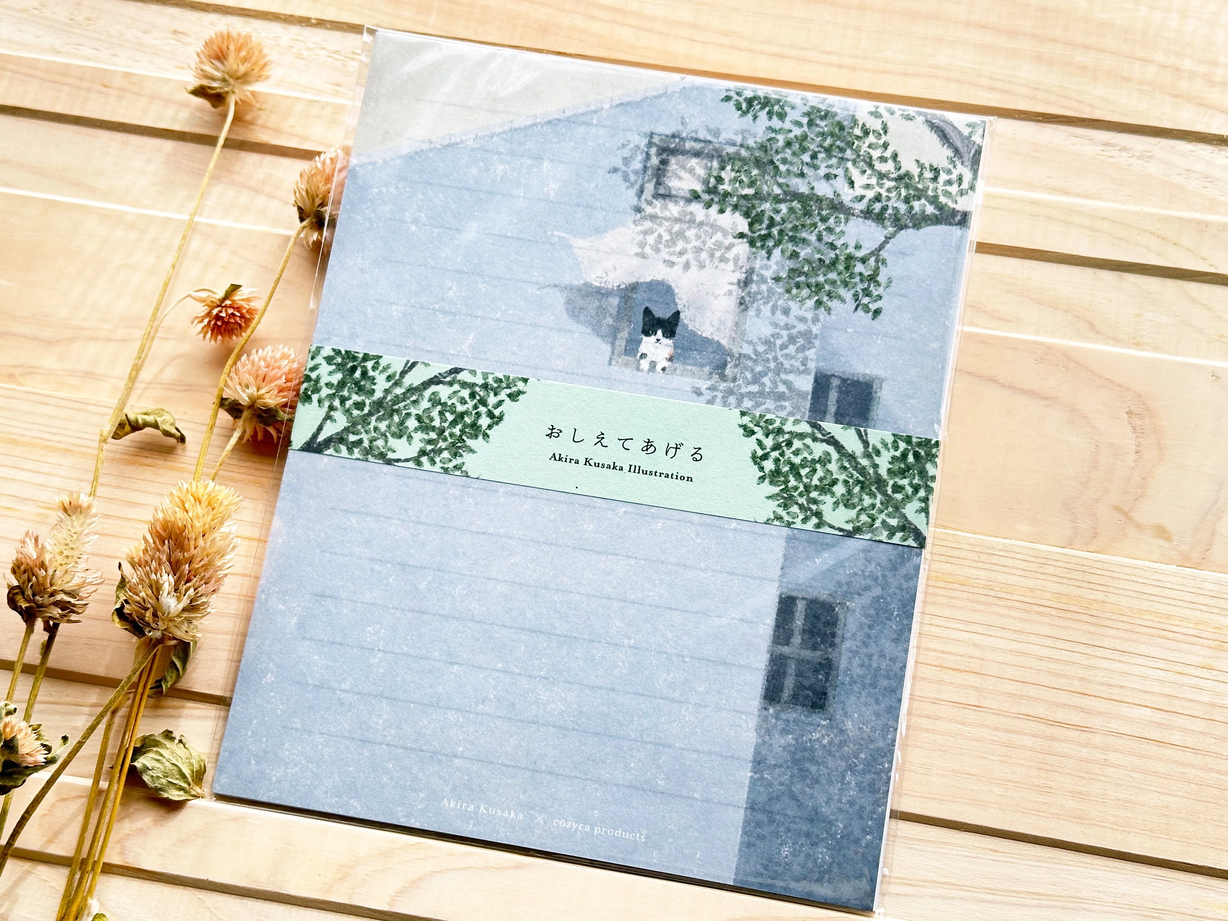 Akira Kusaka Letter Set - Cat