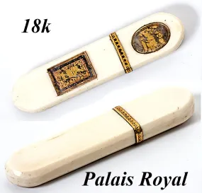 Antique c.1780 Ivory Needle Case, Etui, Gold Trim and D'Amite Under Rock Crystal Panel, Palais Royal