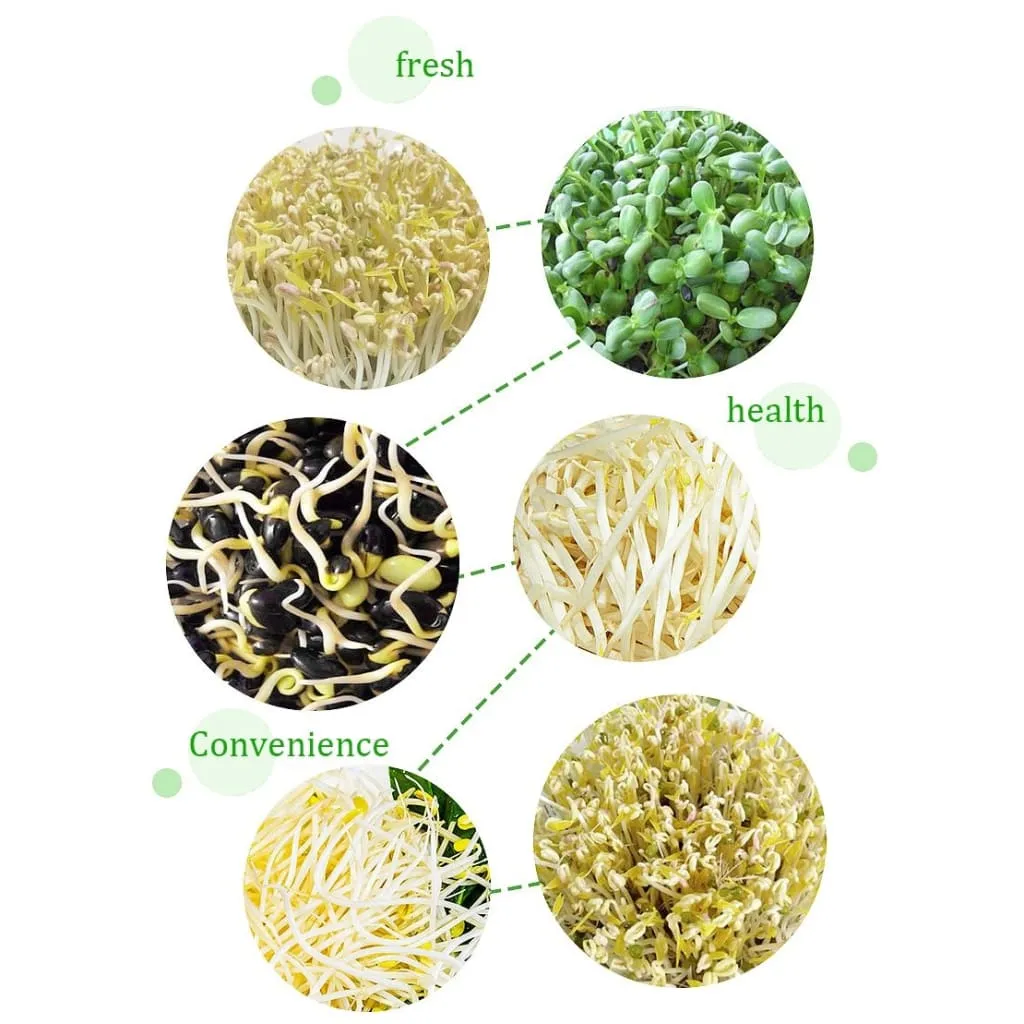 Bean Sprouts Machine