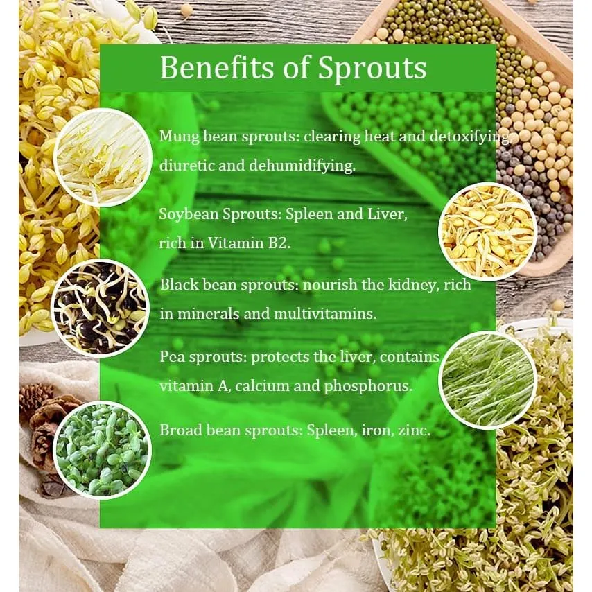 Bean Sprouts Machine