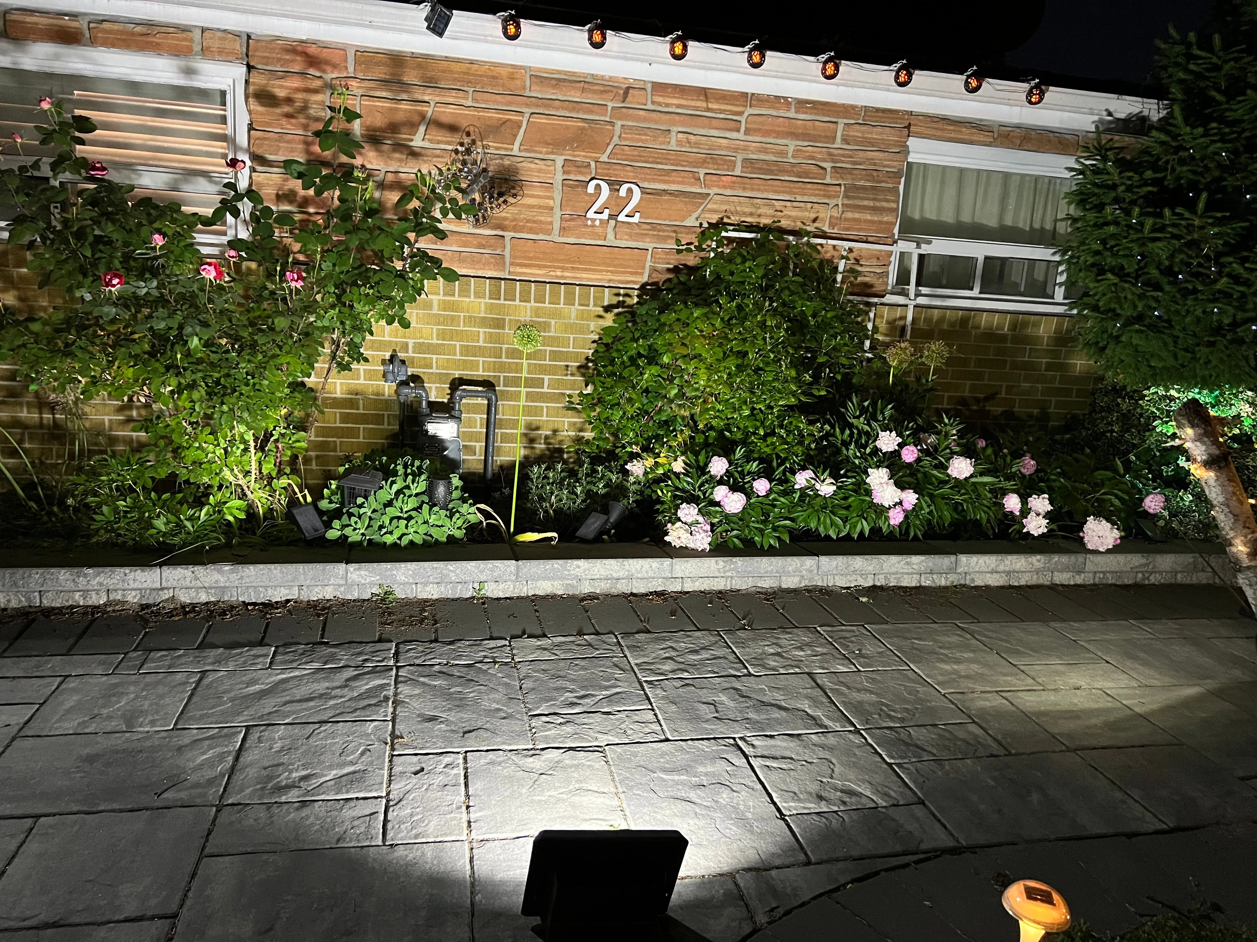 BigM Solar Bright Flood Lights – 100W, 200W & 300W for Constant Lighting