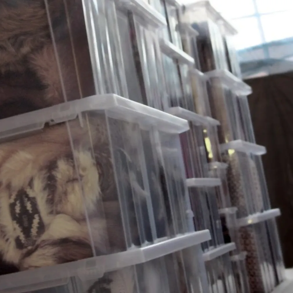 Household Transparent Cargobox with Lid