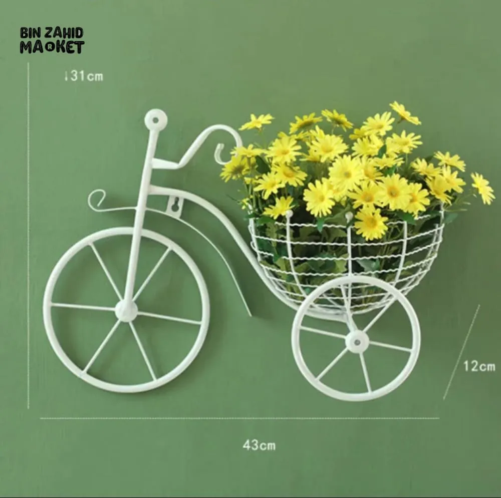 WALL DECOR CYCLE SHELF