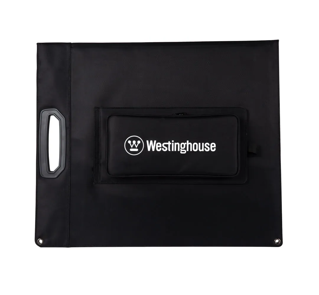 WSolar100p Solar Panel
