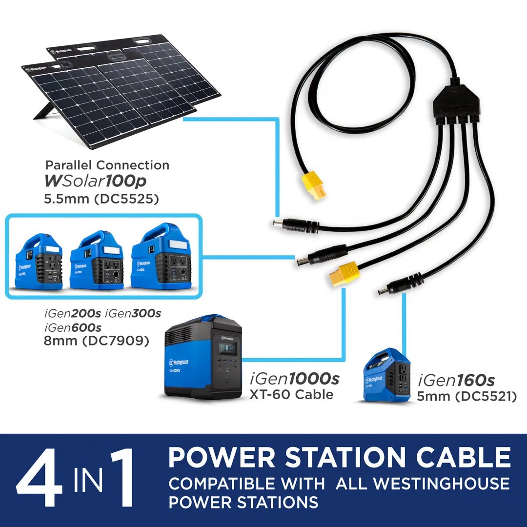 WSolar100p Solar Panel